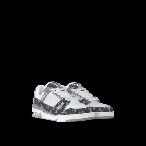 Louis Vuitton Skate Gris